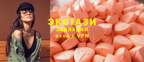 гашик Алексин