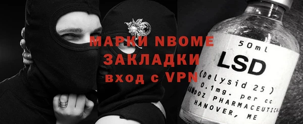 гашик Алексин