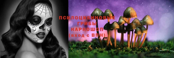 СК Алзамай