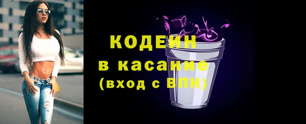 гашик Алексин