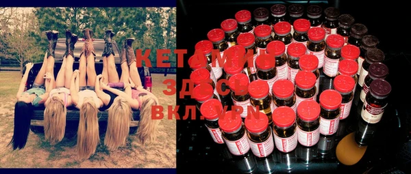 индика Мегион