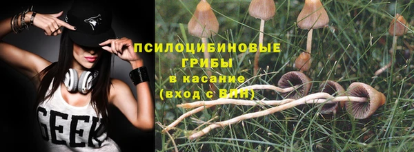 гашик Алексин