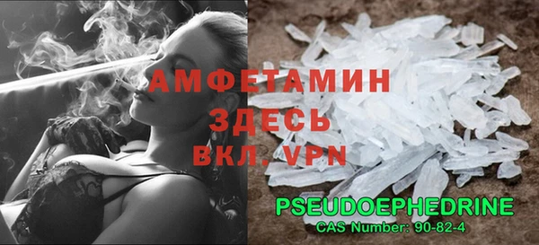 индика Мегион