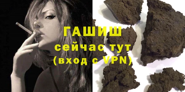 гашик Алексин