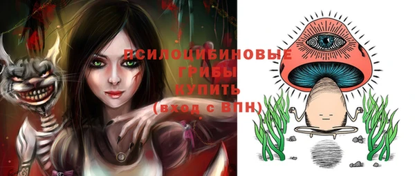 СК Алзамай