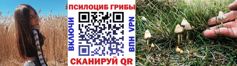 Галлюциногенные грибы Cubensis дарнет шоп Алексин